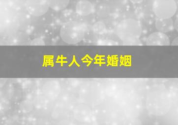 属牛人今年婚姻