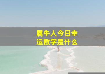 属牛人今日幸运数字是什么