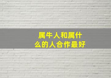 属牛人和属什么的人合作最好