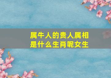 属牛人的贵人属相是什么生肖呢女生