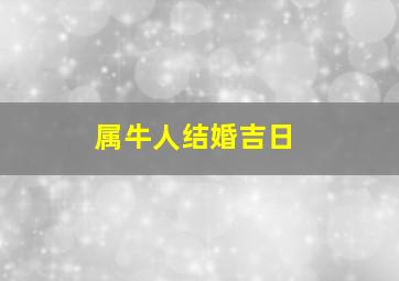 属牛人结婚吉日