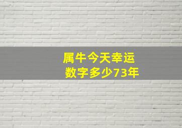 属牛今天幸运数字多少73年