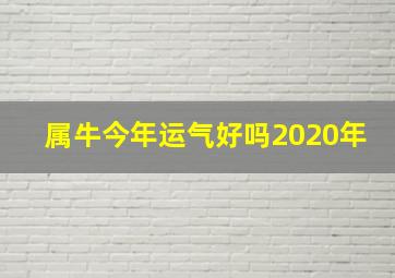 属牛今年运气好吗2020年