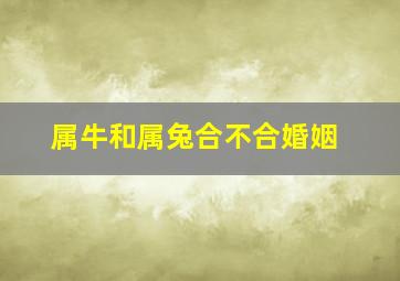 属牛和属兔合不合婚姻