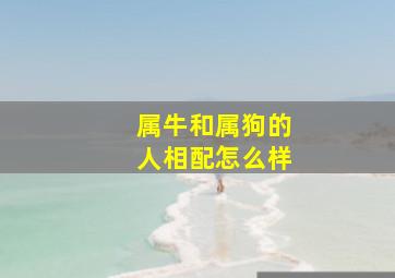 属牛和属狗的人相配怎么样