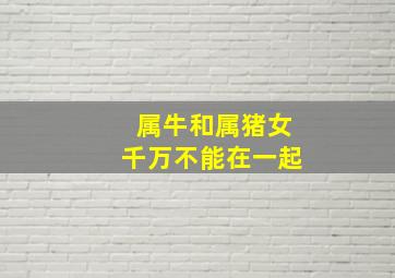 属牛和属猪女千万不能在一起