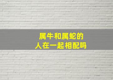 属牛和属蛇的人在一起相配吗