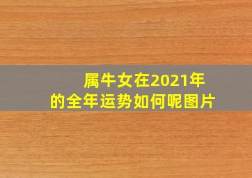 属牛女在2021年的全年运势如何呢图片