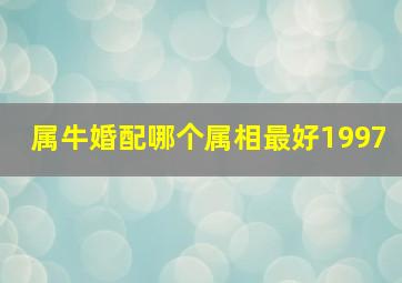 属牛婚配哪个属相最好1997