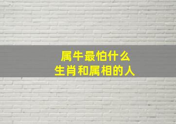 属牛最怕什么生肖和属相的人