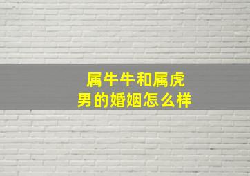 属牛牛和属虎男的婚姻怎么样