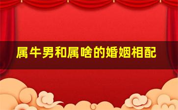 属牛男和属啥的婚姻相配