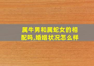 属牛男和属蛇女的相配吗,婚姻状况怎么样