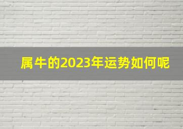 属牛的2023年运势如何呢