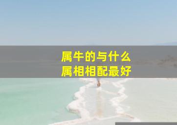 属牛的与什么属相相配最好