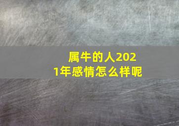 属牛的人2021年感情怎么样呢