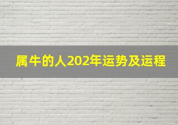 属牛的人202年运势及运程