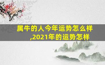 属牛的人今年运势怎么样,2021年的运势怎样