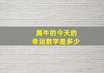 属牛的今天的幸运数字是多少