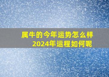 属牛的今年运势怎么样2024年运程如何呢