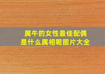 属牛的女性最佳配偶是什么属相呢图片大全