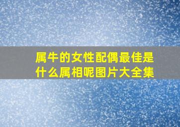 属牛的女性配偶最佳是什么属相呢图片大全集