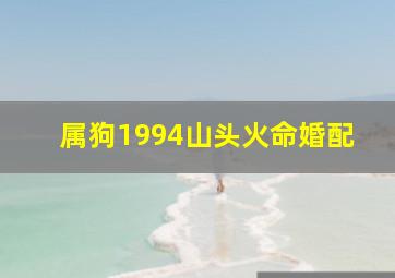 属狗1994山头火命婚配