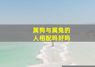 属狗与属兔的人相配吗好吗