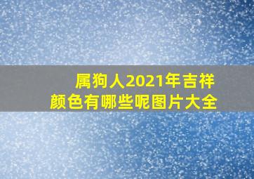 属狗人2021年吉祥颜色有哪些呢图片大全