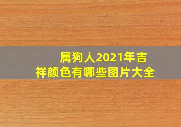 属狗人2021年吉祥颜色有哪些图片大全