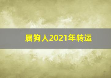 属狗人2021年转运