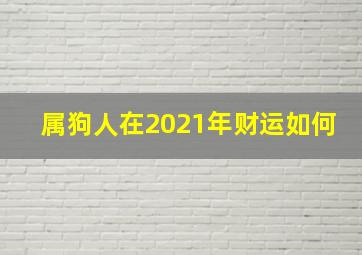 属狗人在2021年财运如何