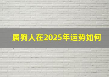 属狗人在2025年运势如何