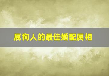 属狗人的最佳婚配属相