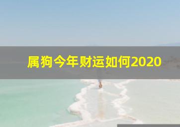 属狗今年财运如何2020