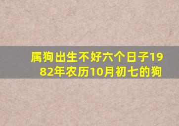 属狗出生不好六个日子1982年农历10月初七的狗