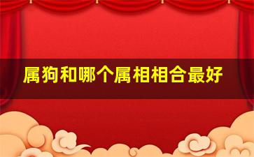 属狗和哪个属相相合最好