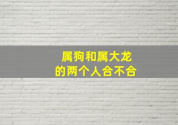 属狗和属大龙的两个人合不合