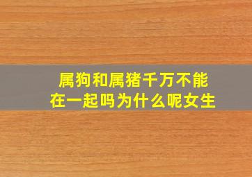 属狗和属猪千万不能在一起吗为什么呢女生