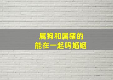 属狗和属猪的能在一起吗婚姻