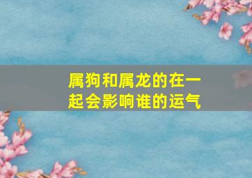 属狗和属龙的在一起会影响谁的运气