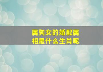 属狗女的婚配属相是什么生肖呢