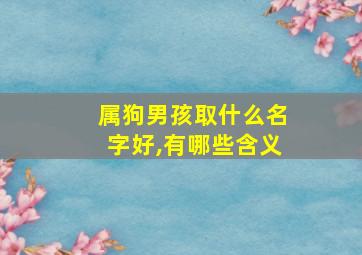 属狗男孩取什么名字好,有哪些含义