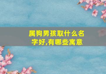 属狗男孩取什么名字好,有哪些寓意