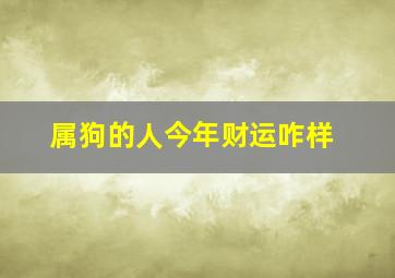 属狗的人今年财运咋样