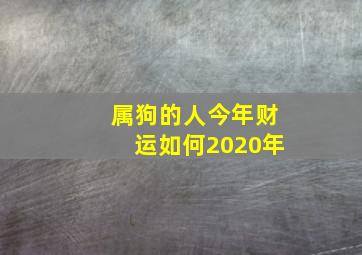 属狗的人今年财运如何2020年