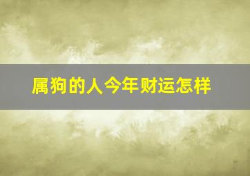 属狗的人今年财运怎样