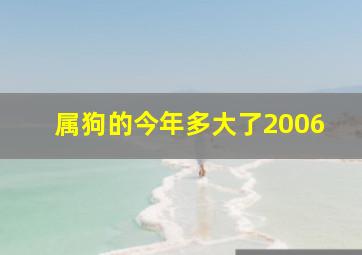 属狗的今年多大了2006