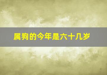 属狗的今年是六十几岁