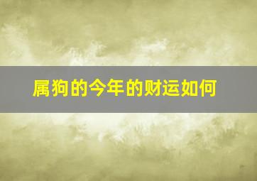 属狗的今年的财运如何